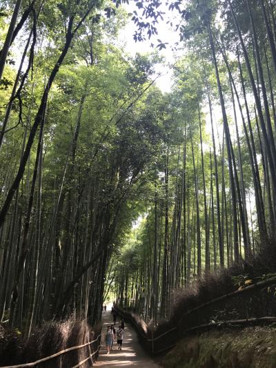 嵐山・嵯峨野観光5/19～21③竹林の径～大河内山荘庭園、よーじやカフェ＆竹むらで湯豆腐ランチ！