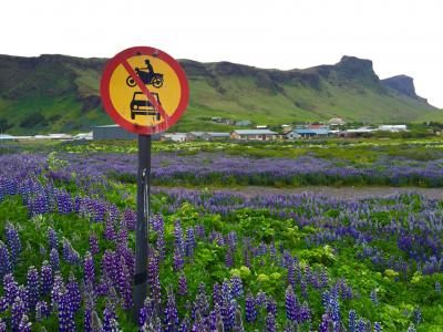 アイスランド旅行 ～南海岸絶景ツアー～