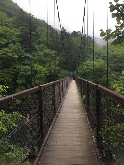伊藤園ホテルズ 那須塩原 弾丸バスツアー 2日目森林浴ハイキング(登山?)