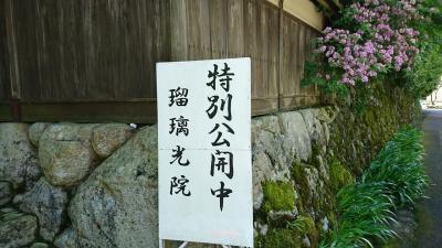 京都八瀬 瑠璃光院 春の特別拝観