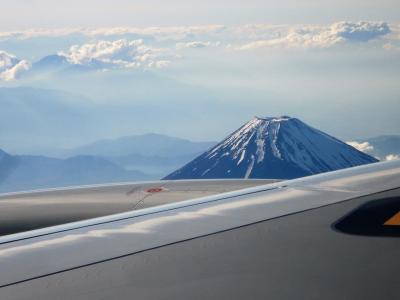 格安航空券