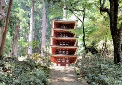 宇太水分神社と室生寺を訪ねる　