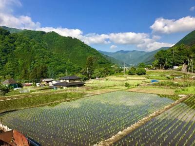 初夏の山梨 滝子山登山