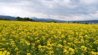 2017年5月、中央本線石和温泉から小海線小諸、あちこちいろいろ