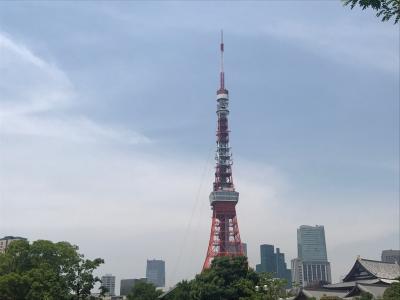 仙台ライフ 2017年6月