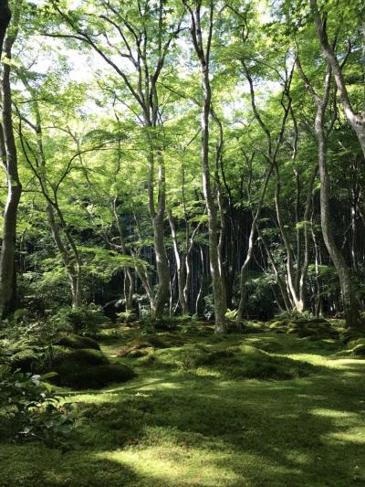 青もみじを楽しむ初夏の京都　1日目　嵯峨野・嵐山・MK夜バス　2017年5月