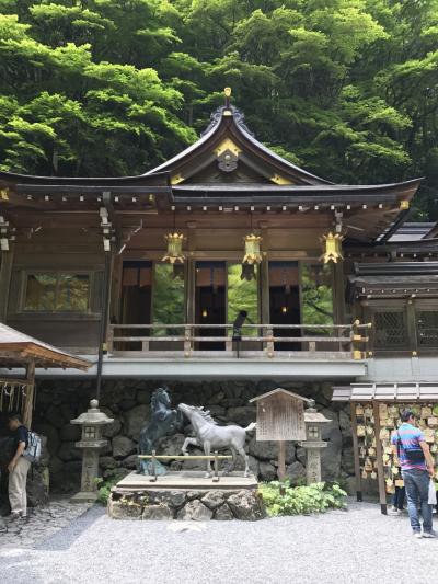 青もみじを楽しむ初夏の京都 2日目　鞍馬・貴船・下賀茂神社・東寺