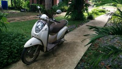 雨期に行くランタ島どしゃ降りバイクツーリング(短期語学留学⑤)