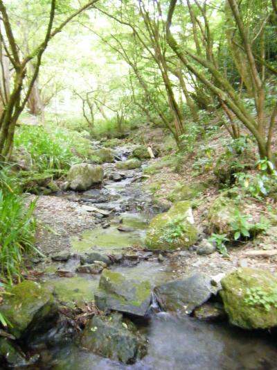 新緑の裏高尾 ハイキング