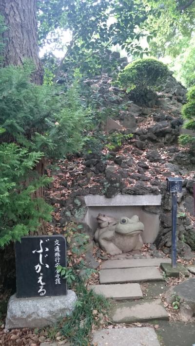 バースディ祝い～フラレッスン～七福神巡り