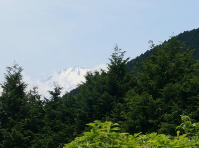 面白い名前の「シダンゴ山」ハイキングと松田山ハーブガーデンのハーブフェスティバル♪