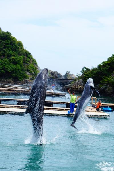 ★和歌山を旅する 太地・那智編★