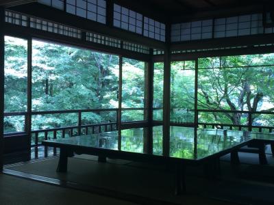 新緑の京都 日帰り