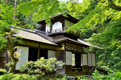 松風水月 横浜逍遥 三渓園（前編）