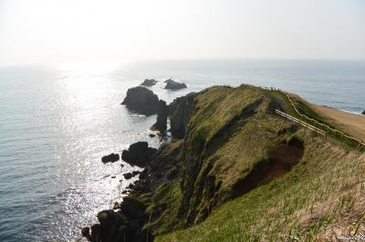 エゾエンゴサクが咲く霧多布岬の朝散歩と嶮暮帰島ツアー