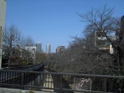 東中野から新宿まで歩いてみた