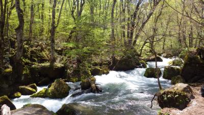 2017.5.3(水)-5.5(金) 十和田湖・奥入瀬