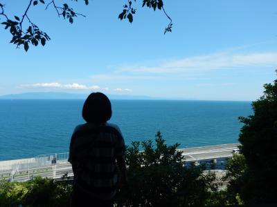 海に癒された、東海道ローカル線途中下車の旅②三島と由比の桜えびと薩&#22517;峠