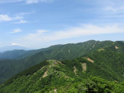 さわやか新緑の丹沢表尾根　ヤビツ峠～塔ノ岳～丹沢山～大倉