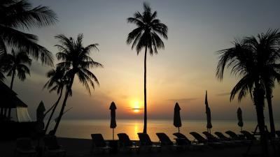 タイ・サムイ島旅行記【３泊５日 後編】