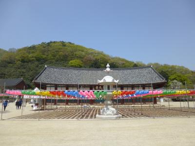 2017春　韓国 - 3　コチャン（高敞）その２　ソヌンサ（禅雲寺）