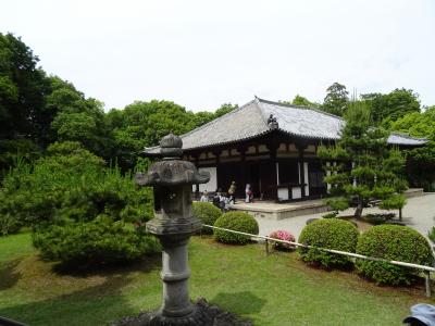 【歴史散歩】　今日は年に一度の秘仏の開扉、常光寺・秋篠寺