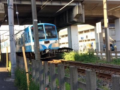 往路は流鉄流山線に乗車し、復路は沿線をてくてく歩いて戻ってきました