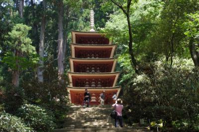 170529-30奈良家族旅行【3】五重塔と美仏を巡る ～室生寺そして興福寺～
