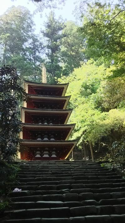 室生寺と龍穴神社ハイキング