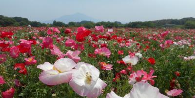 小貝川ふれあい公園