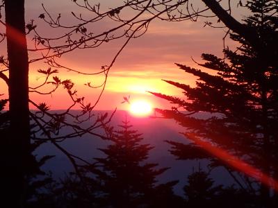 【山行記録19】シャクナゲの咲き誇る甲武信ヶ岳へ登る