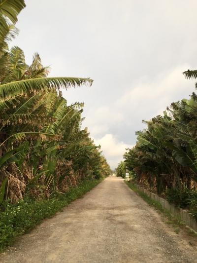 沖縄 石垣島4日間⑤