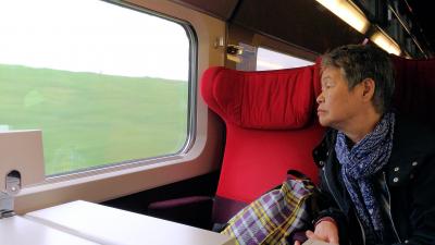 ブリュッセルからタリス、パリからＴＧＶ、アルルから急行、リヨンからＴＥＲに乗る