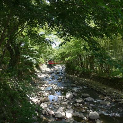 緑溢れる、伊豆の滝と修善寺温泉