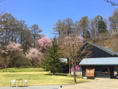 2017年ＧＷ～春がやってきたよ！桜を眺めながら、温泉でゆったり軽井沢～＠星のや軽井沢