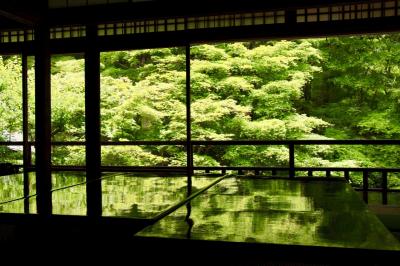 青もみじを求めて～京都 瑠璃光院へ