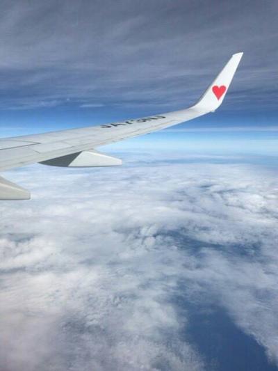 沖縄への弾丸旅行　～スカイマークで行く沖縄2日間の旅～