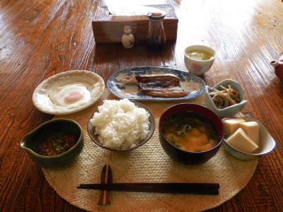 ソリちゃんの八丈島・三宅島旅行記 2017年度版・後編