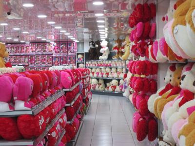 パラグアイ　「行った所・見た所」　シウダー・デル・エステ市街散策