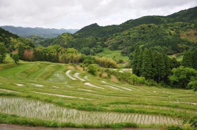 初夏の鴨川大山千枚田