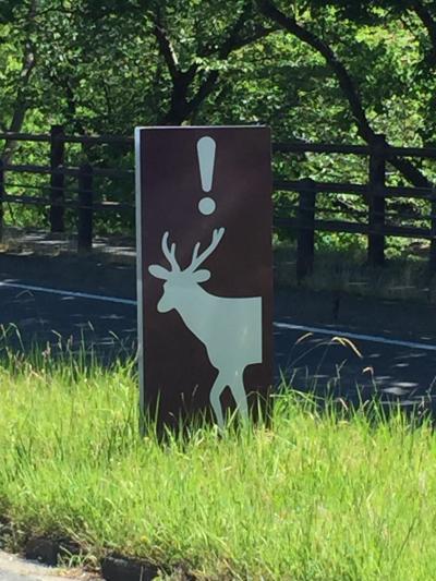 耐震工事中宿泊プラン　奈良ホテル　と　くるみの木