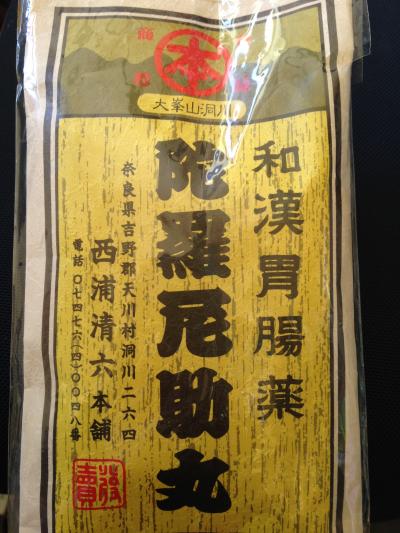 GoGoインド_中高年女子一人旅_1デリーへ