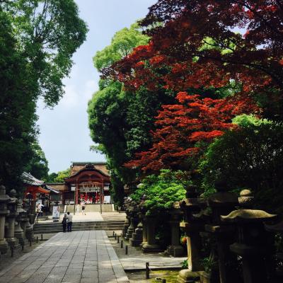 竹に圧倒された石清水八幡宮と松花堂庭園