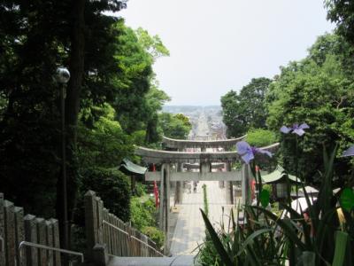 福岡旅行③　宮地嶽神社で八社めぐり