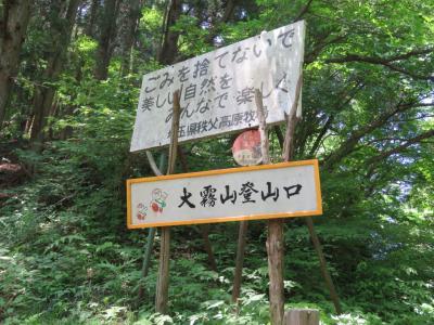 梅雨の晴れ間に大霧山ハイキング①橋場～粥新田峠～大霧山山頂