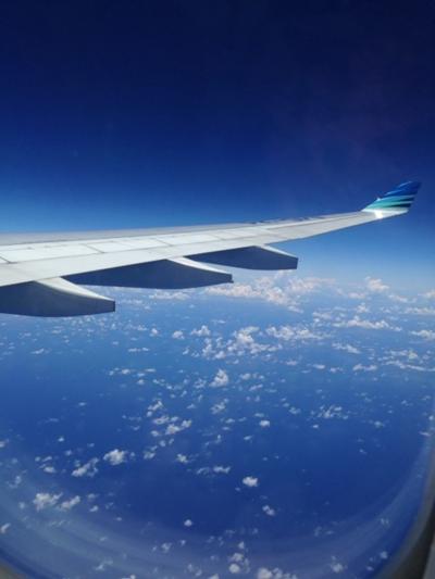 バリ島～ハネムーン①～