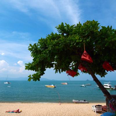 碧い海と南の島に住む猫たちを巡る旅 in Samui★2017　01　1日目　【名古屋⇒BKK⇒サムイ島】