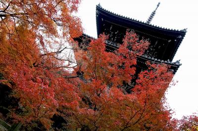 2009年11月　紅葉シーズン　秋の京都1泊2日の旅☆養老鍋・先斗町で京風会席・祇園で天ぷら♪観光よりグルメな旅になりました