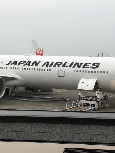 ハワイ初上陸なのにマウイ島へ!Vol.1 NRTラウンジ巡りから