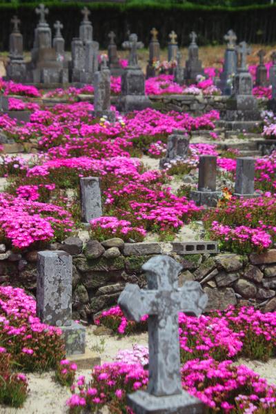 五島列島の教会を巡る旅Ⅲ（中通島・若松島）